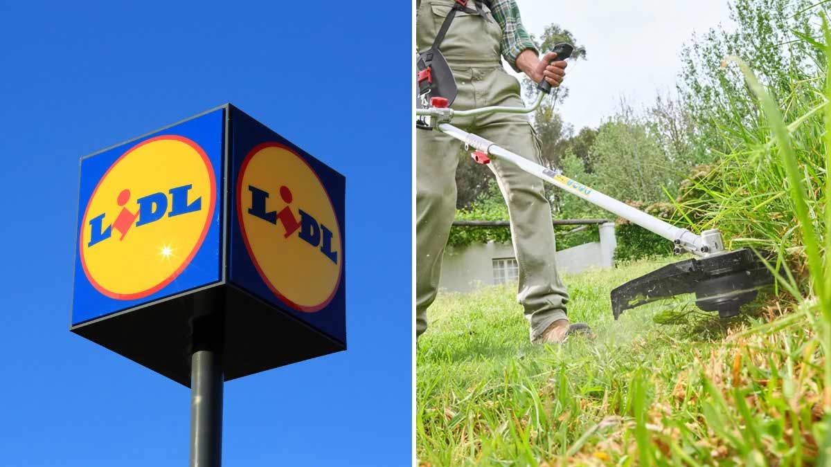 decespugliatore e tosaerba Parkside in offerta da Lidl
