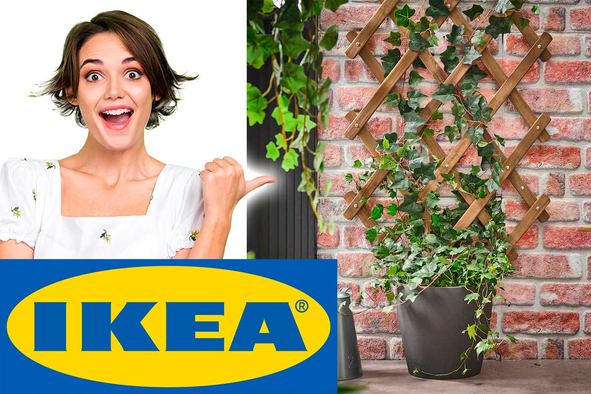 supporto per piante rampicanti Ikea
