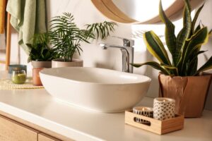 Le piante ideali per il bagno umido