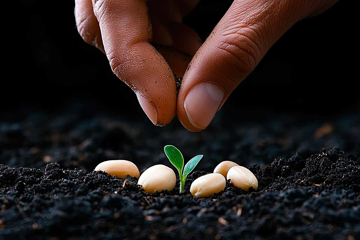 5 errori da evitare quando semini in pieno inverno