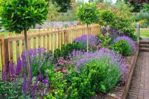 Lavanda in inverno: piccoli trucchi per proteggerla dal freddo